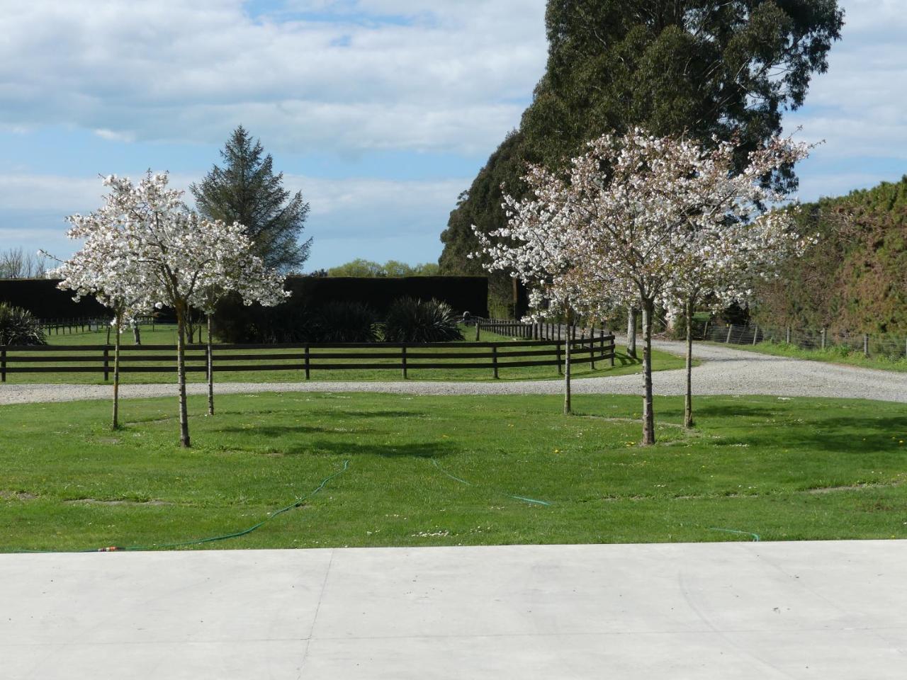 Bramley'S Stables And Accommodation รางีโอรา ภายนอก รูปภาพ